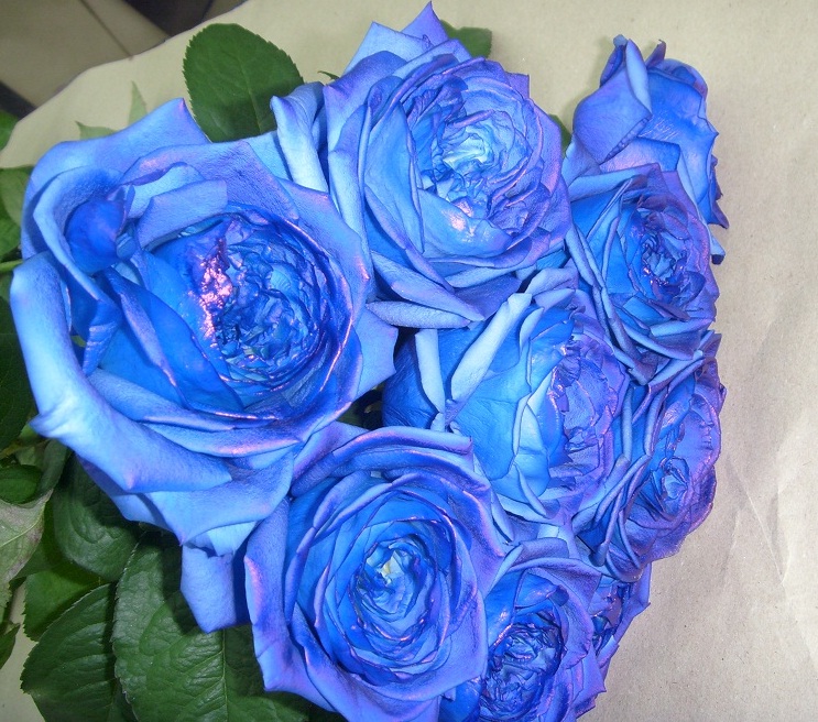 Синие розы 2.jpg