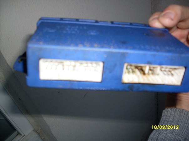 x_77412184.jpg